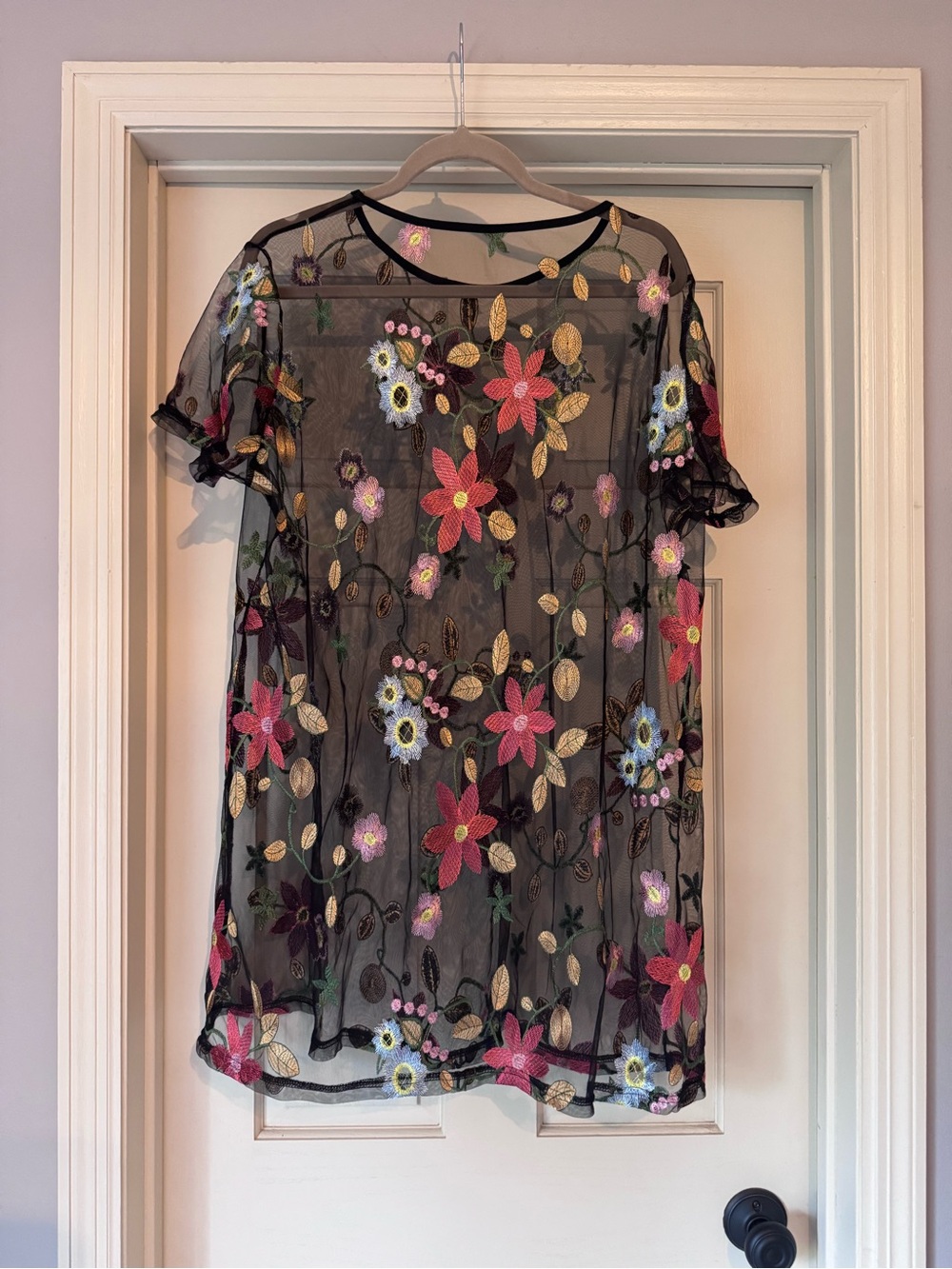 Sheer Black Floral Embroidered Short-Sleeve Dress